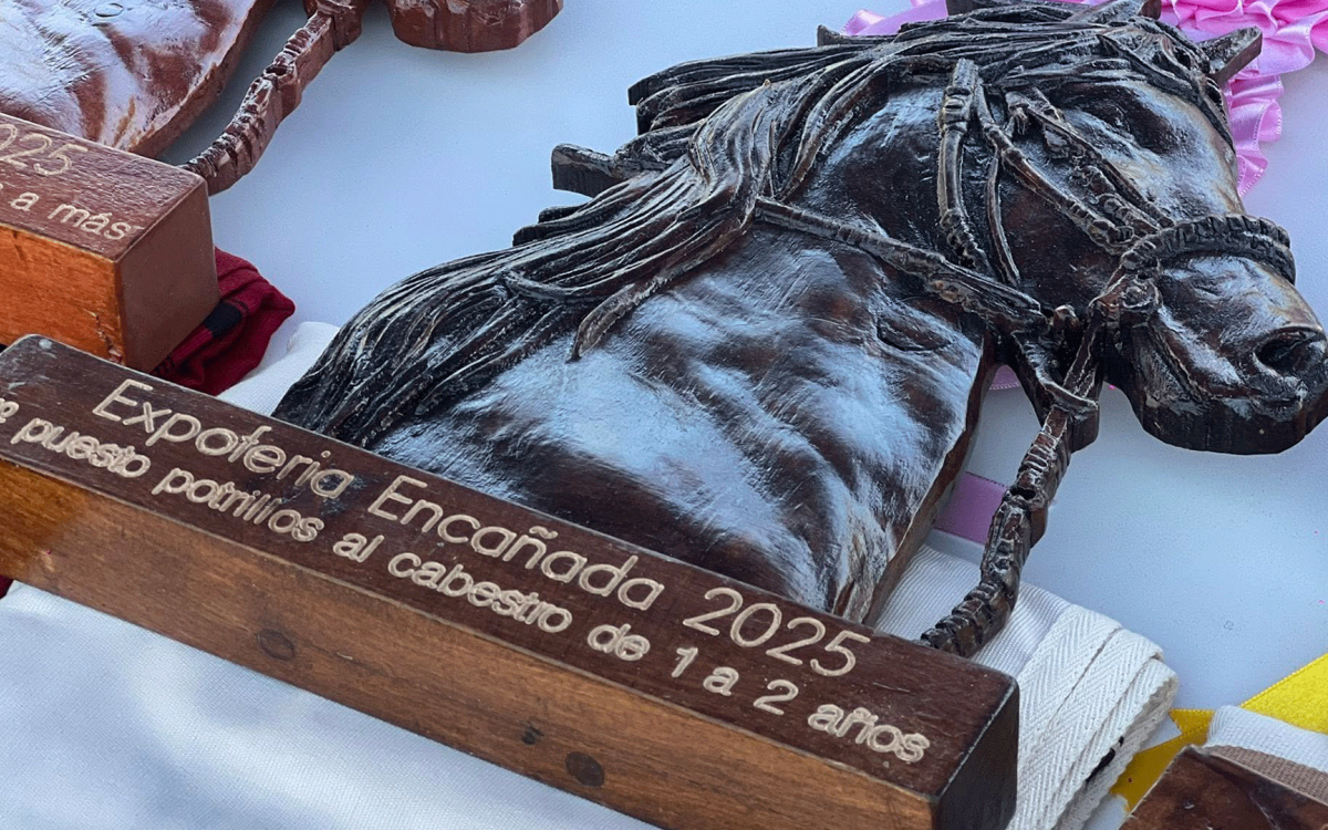 PREMIOS PARA EL OCTAVO CONCURSO DE CABALLO DE PASO